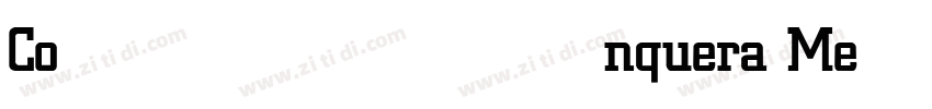 Conquera Medium字体转换